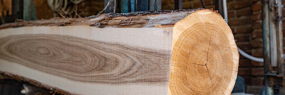 Wood Grain Makes the Difference in Your Lumber’s Appeal