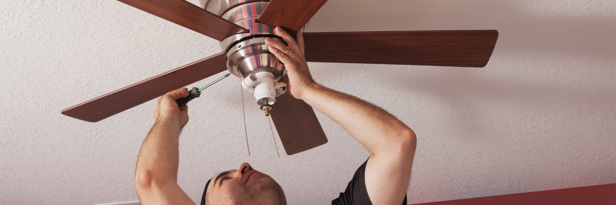 Types of Ceiling Fans: Which is Best for Your Home?