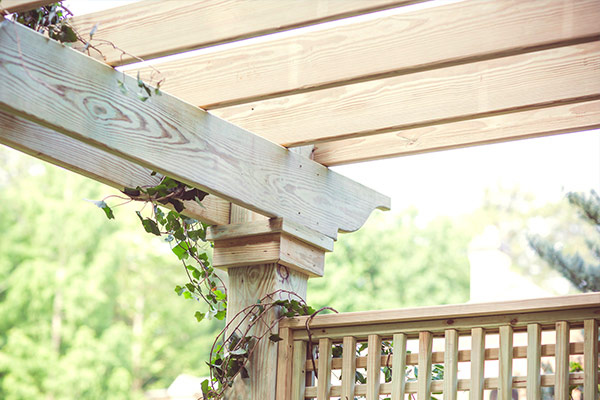 Wooden Pergola Design and Placement