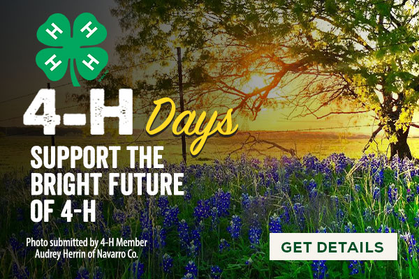 4-H Days