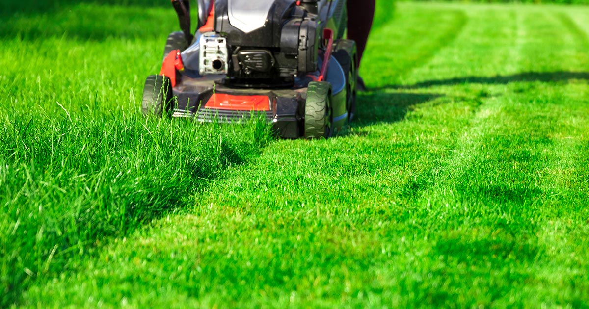 8 Tips for How to Mow a Lawn Like a Pro | McCoy's